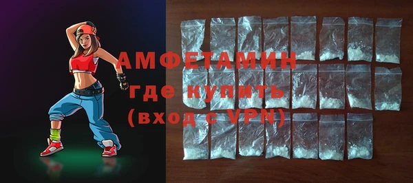 шишки Сатка