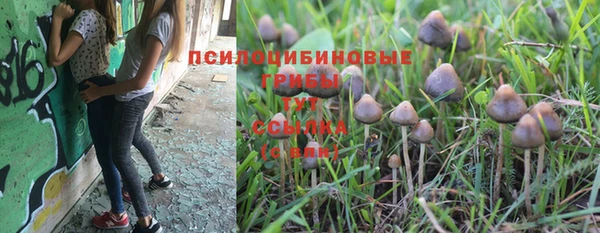 таблы Алзамай