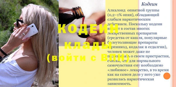шишки Сатка