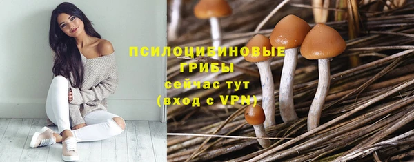 ПСИЛОЦИБИНОВЫЕ ГРИБЫ Алексеевка