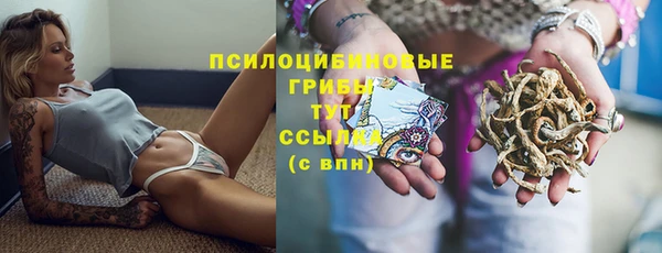 шишки Сатка